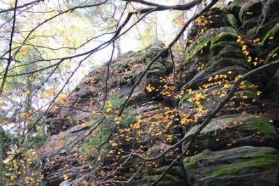 Felsenlandschaft im Wehlgrund